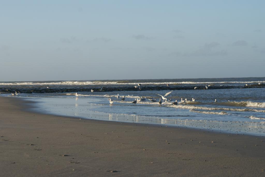 De Herbergh Van Flielant Vlieland Exteriér fotografie